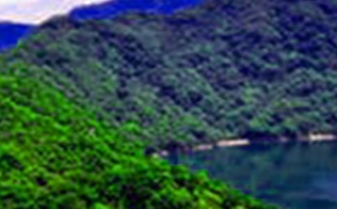 ���ڼ���ɽˮ������