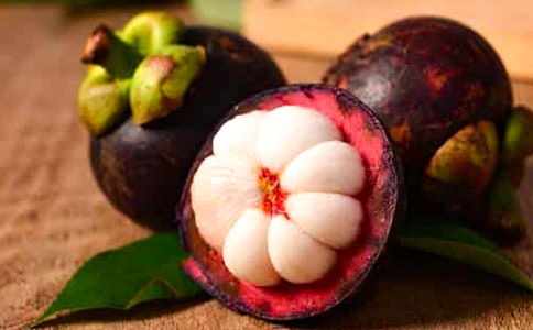 游南山竹海作文300字(通用17篇)