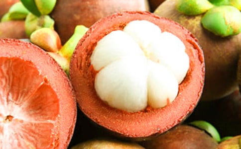 山竹_450字_小学作文