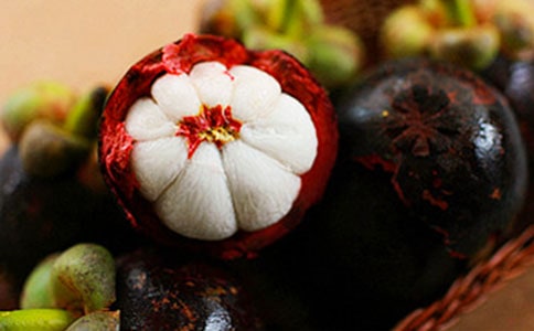 游南山竹海作文450字(通用20篇)