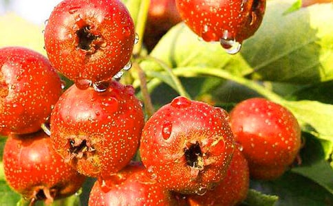 ɽ���֮�������