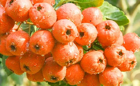 ɽ���֮���Ķ����