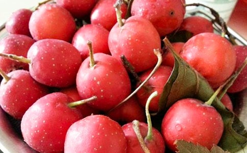 关于山楂的作文(精选26篇)