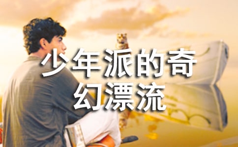 《少年派的奇幻漂流》观后感(15篇)