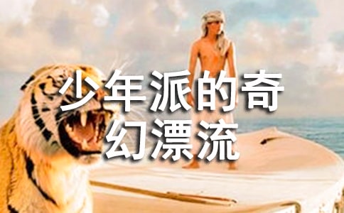 少年派的奇幻漂流观后感