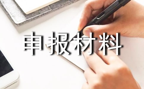 ��ϯ��ʦ�걨����