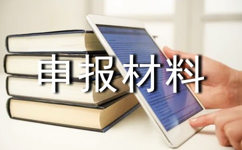 �����Ÿ��걨����