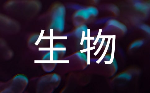 高中生物《细胞的能量》的教案