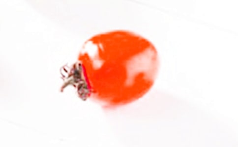 ʥŮ�����Ұ��㣡����