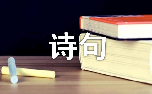 关于思念诗句座右铭语录(精选30句)