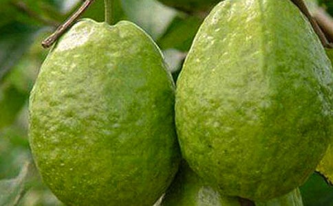 ʯ�����ķ���