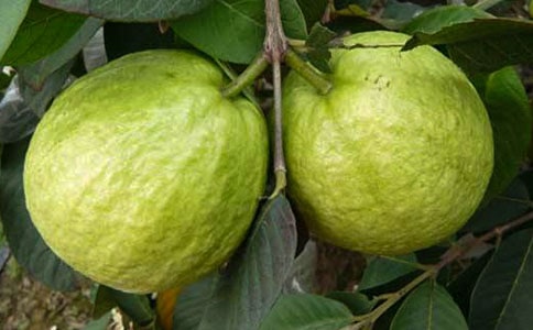 ��дʯ�����������170��