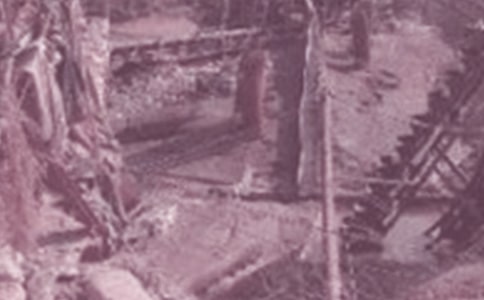 ��ѡ��ʯ��ʵϰ����3ƪ