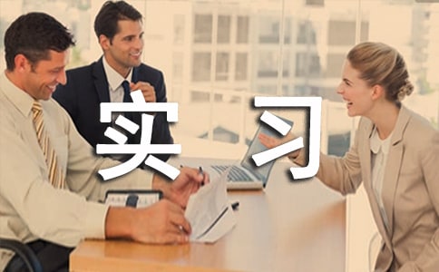 关于美术实习心得体会