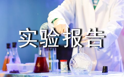虚拟存储器实验报告