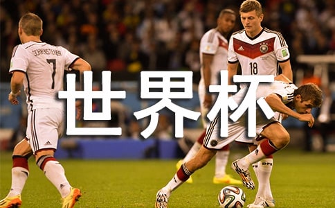 ���������籭����