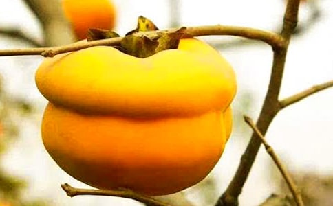 �й�������������