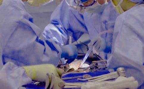 ��������֢����