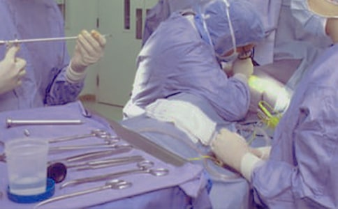 ����Сѧ����