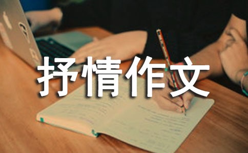 初中抒情作文:我的生命线