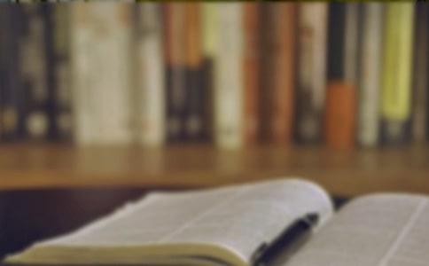 书房——我的乐园作文