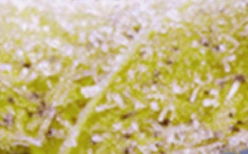 ���׵���һ����˪�����̷���