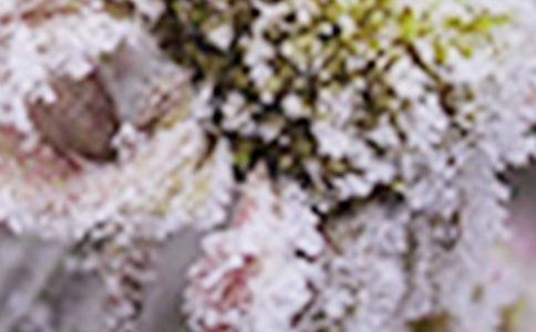 ���ػ���˪���ص㼰����