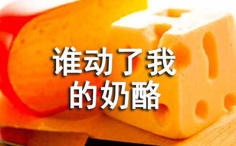 谁动了我的奶酪读后感1000字(精选25篇)