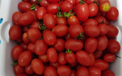 大班体育游戏教案《过桥摘水果》