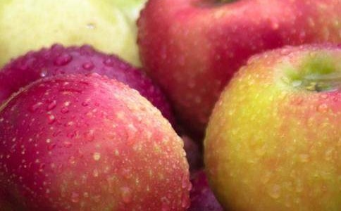 小班科学教案:水果宝宝