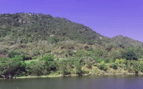 山塘水库承包合同