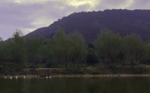 水库管理处个人工作总结