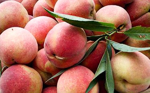 �Ұ������ˮ�������ģ���ѡ38ƪ��