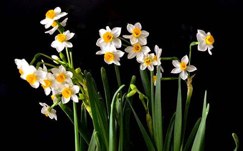 ��������ˮ���򡷶����