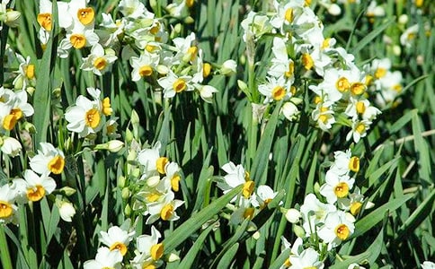 ˮ�ɻ�����15ƪ[��]