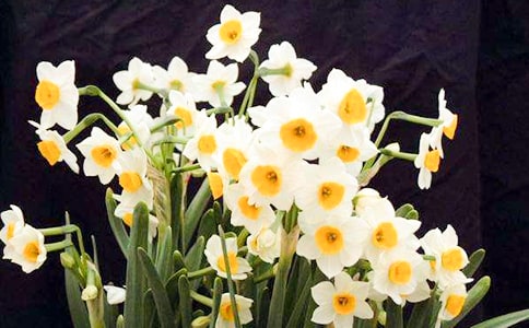 ˮ�ɻ����������ַ���