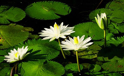 ˯���۲��ռ�