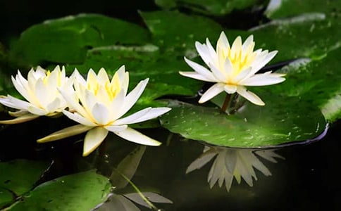 ����ѧ˯�������̰�5ƪ