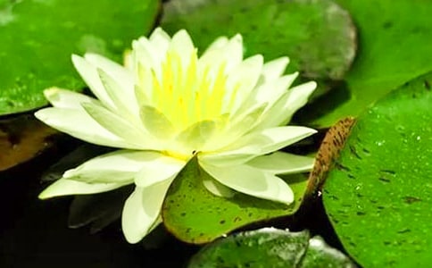 ˯��600������