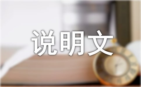 我的书包说明文