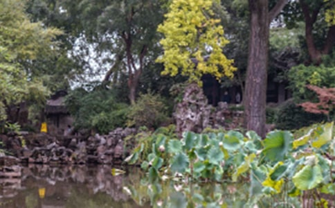 ����԰��-��������