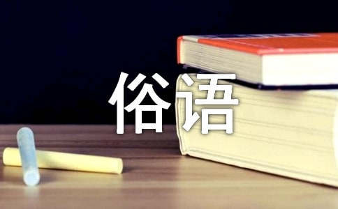 青的色彩意义、国俗语义及其翻译探析