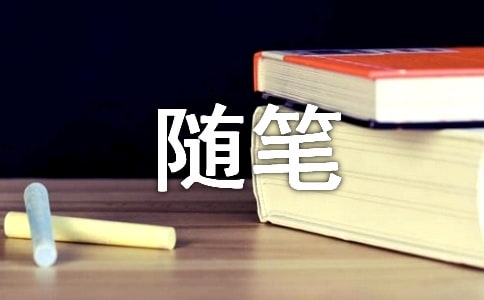 只可毁灭随笔300字