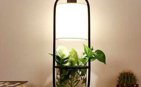 �ҵ�С̨������