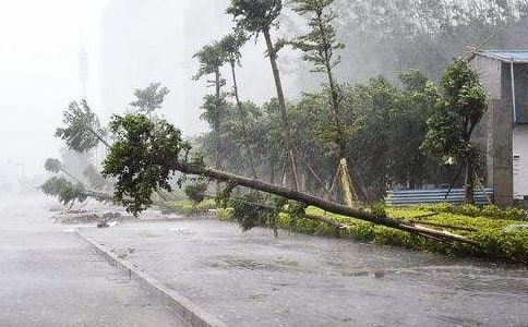 跟踪台风的卫星第二课时优秀教案