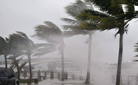 实用的台风作文300字