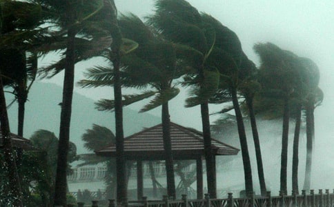 ����̨���Сѧ����