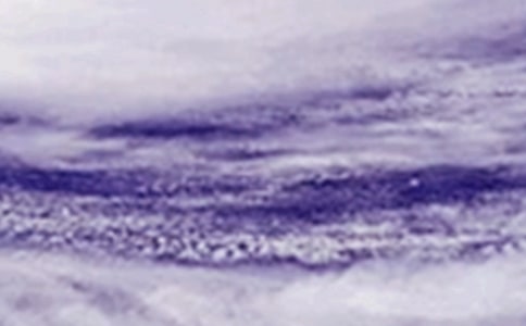 ̨����������(15ƪ)