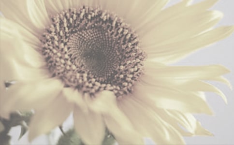 ���������̫����Ů�����и�500��