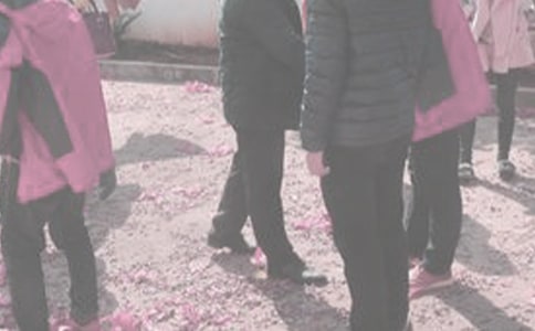 ̽�����뺯